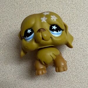 LPS St. Bernard #481